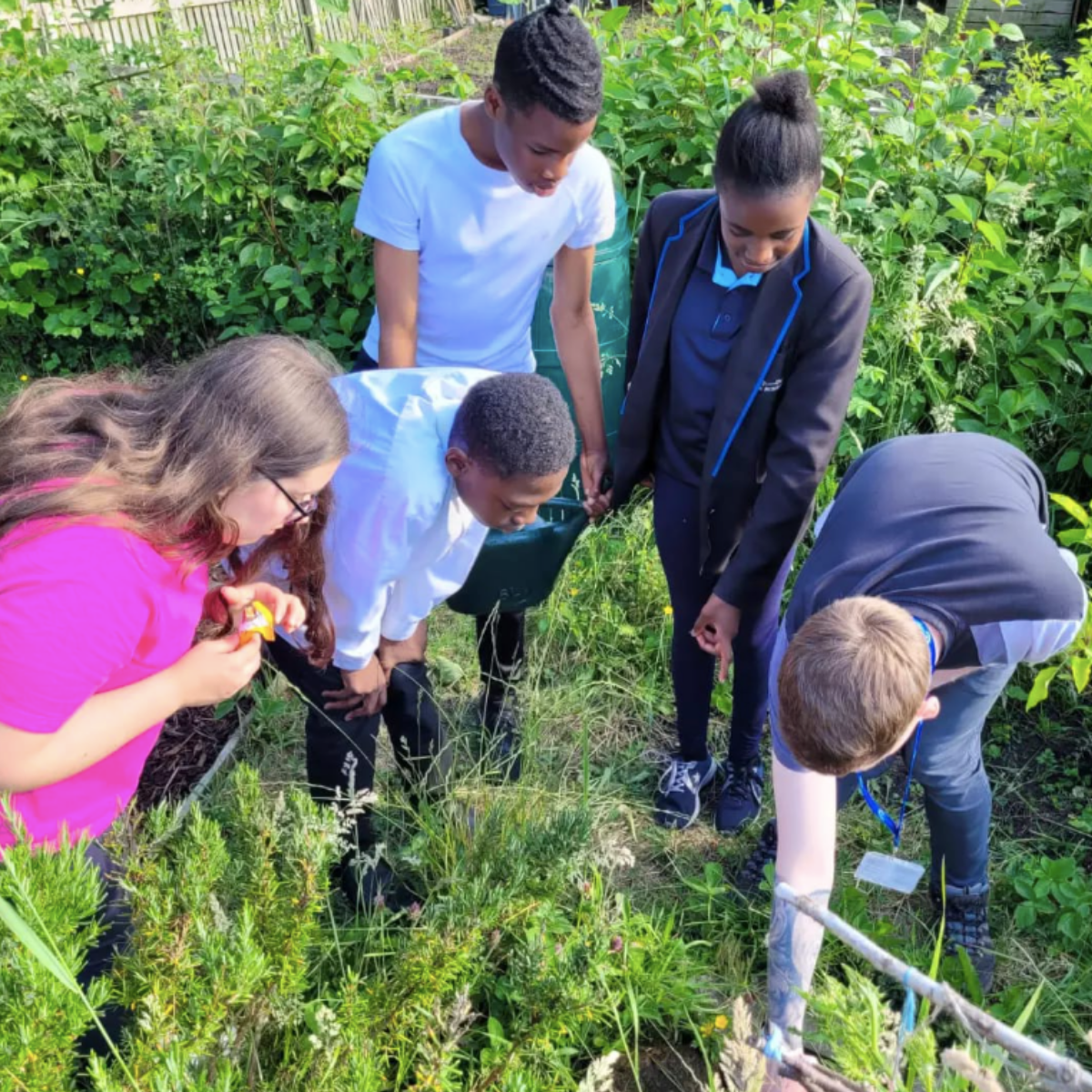 Photo of several children working on a patch of garden